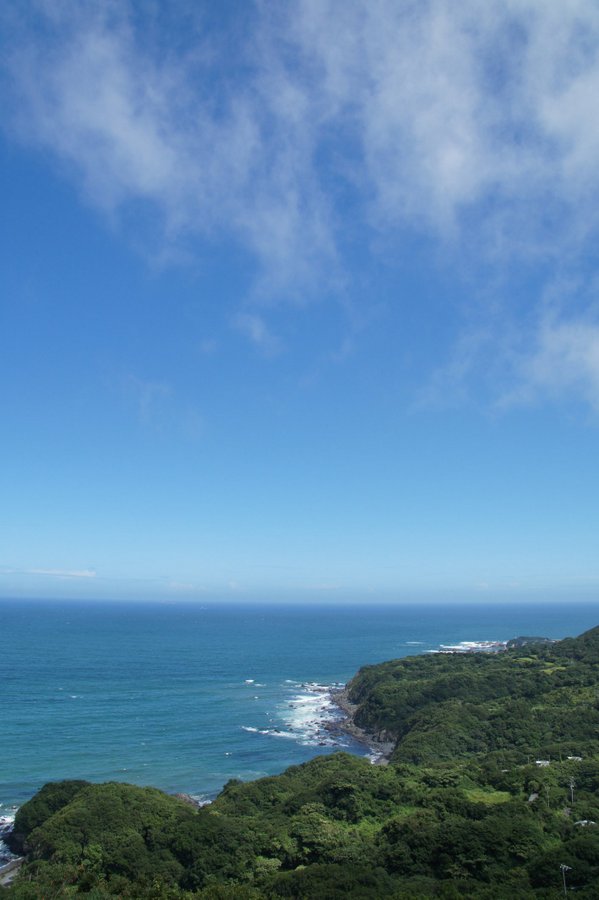 SONY DSC