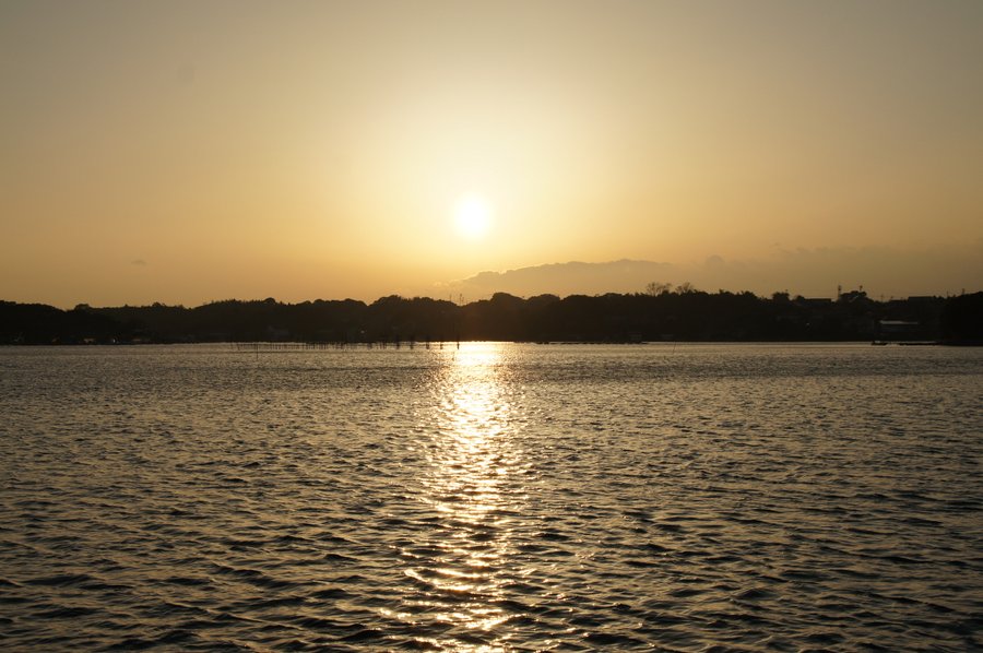 SONY DSC