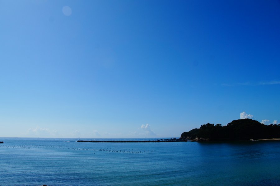 SONY DSC