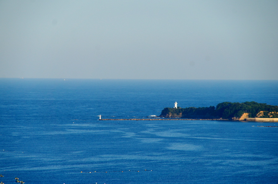 SONY DSC