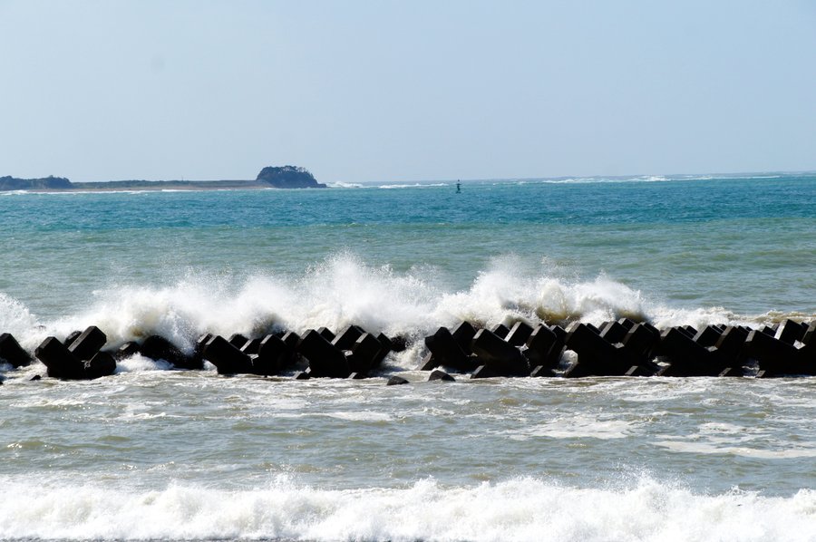 SONY DSC