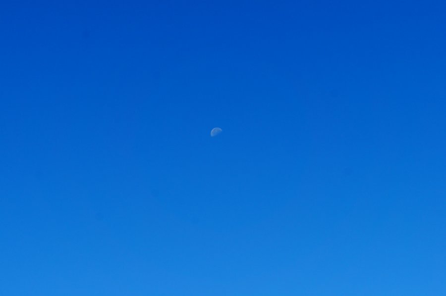 SONY DSC