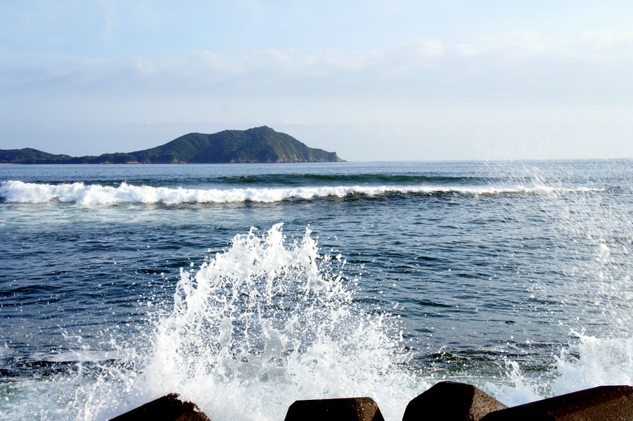 SONY DSC