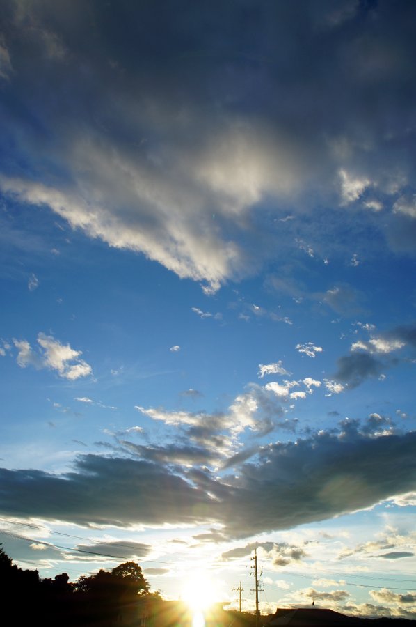 SONY DSC