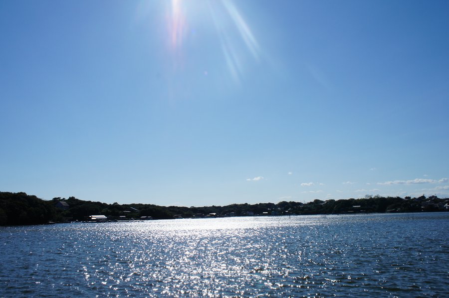 SONY DSC