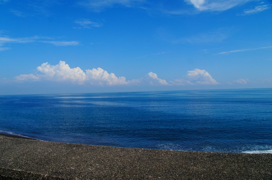 SONY DSC