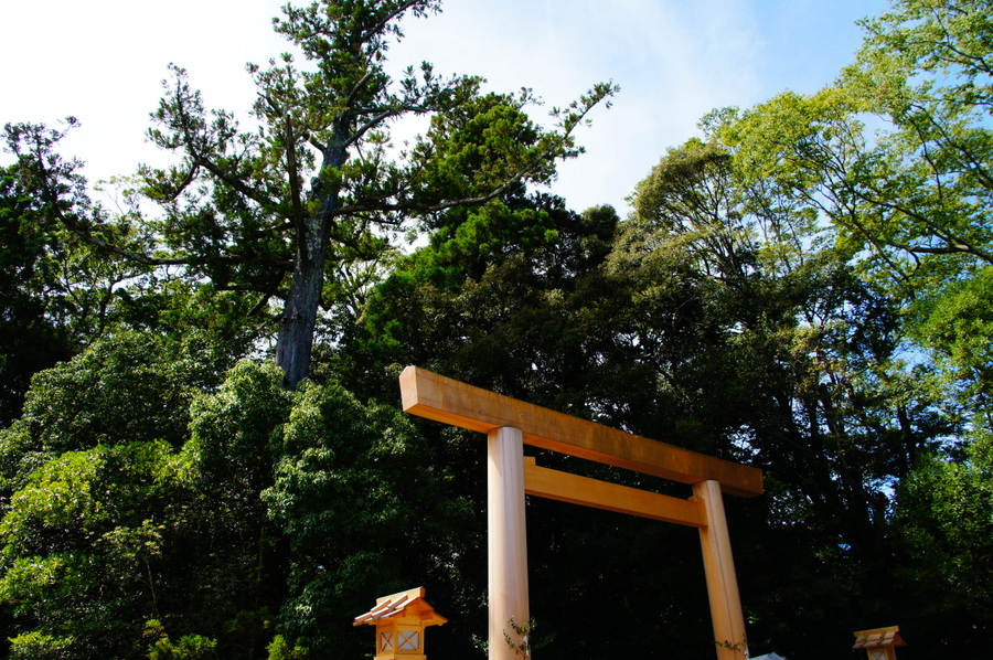 SONY DSC