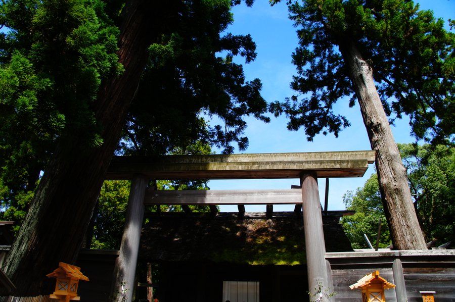 SONY DSC