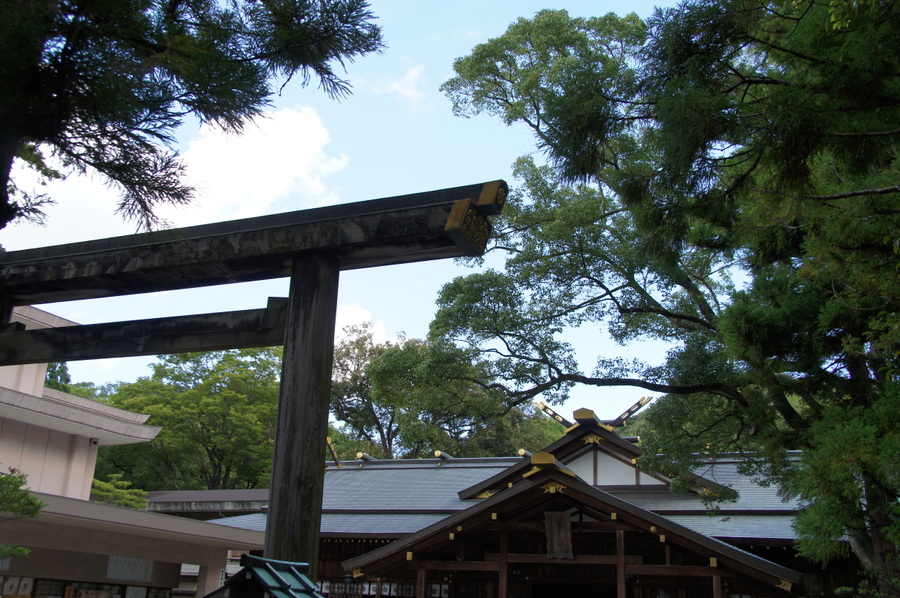 SONY DSC
