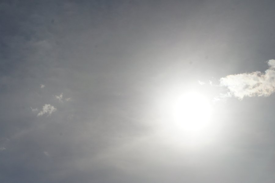 SONY DSC