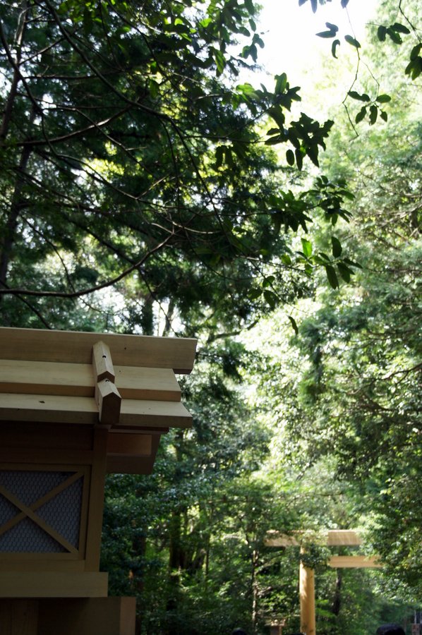 SONY DSC