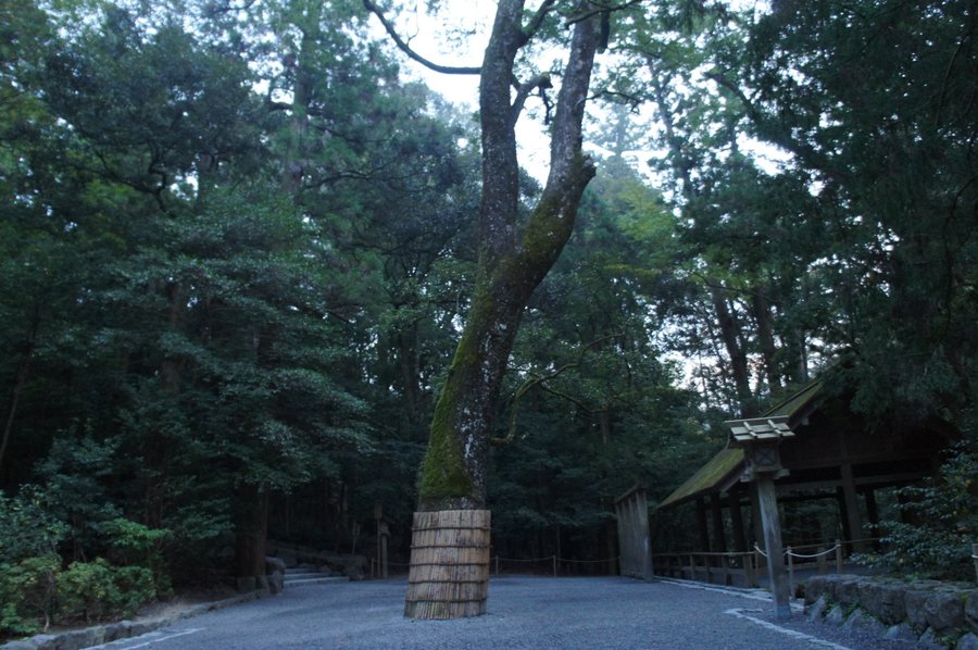 ご正宮の前
