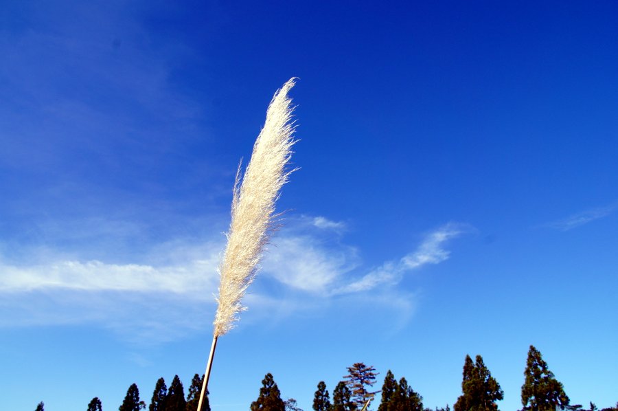 青空