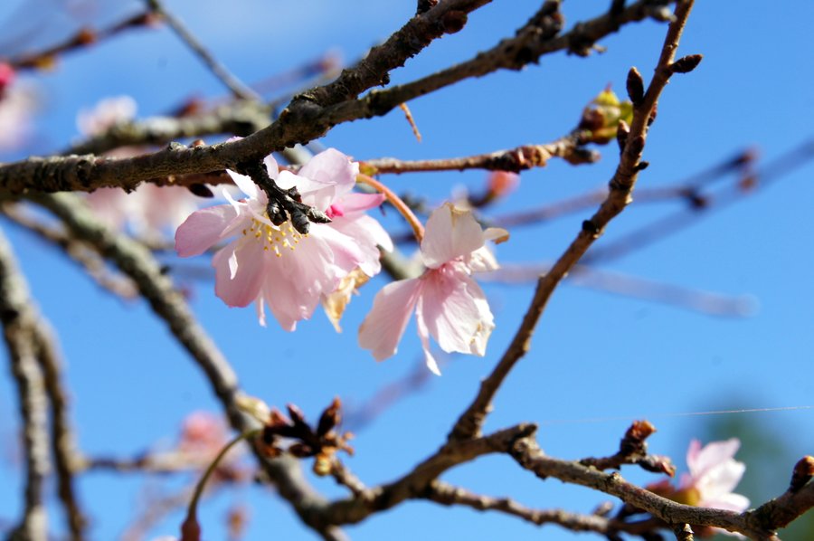 10月
