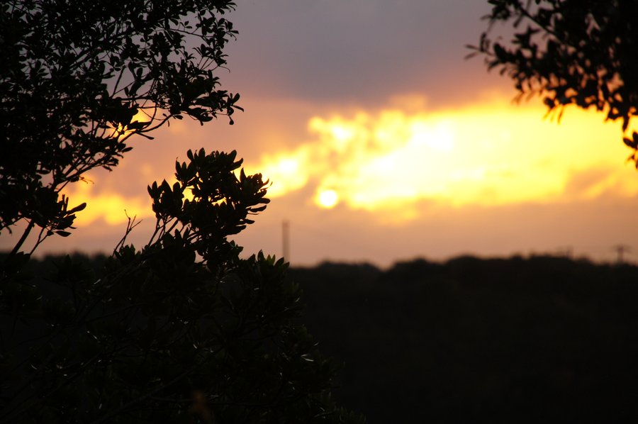 夕暮れ