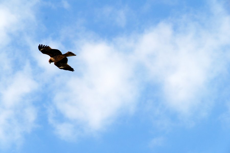 空