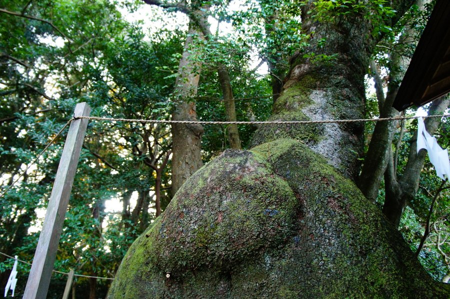 伊雑宮