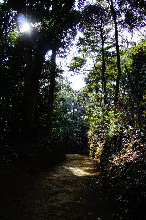 山道