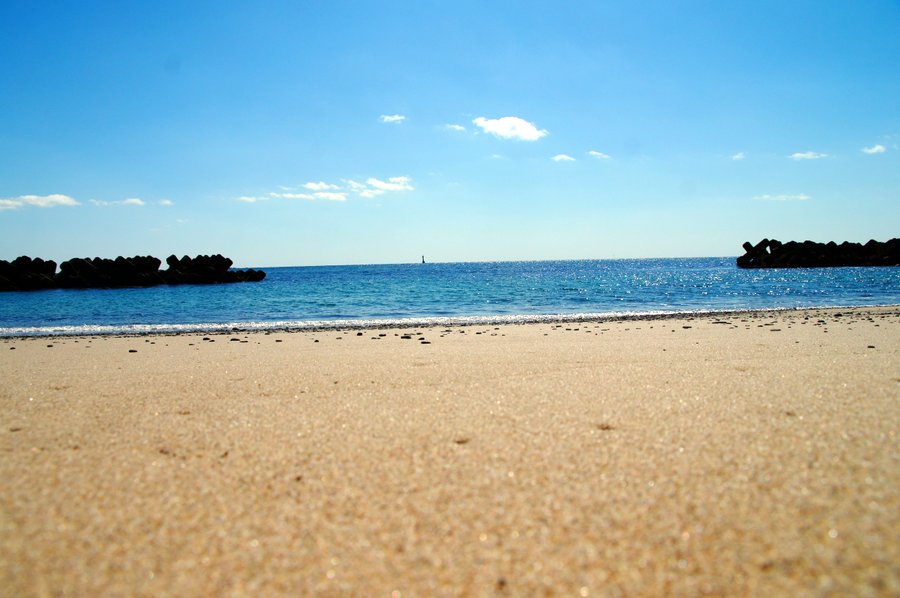 海