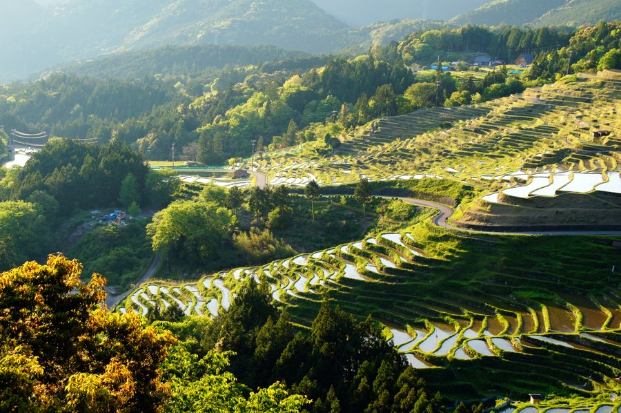 丸山千枚田