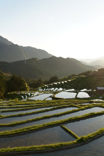 丸山千枚田