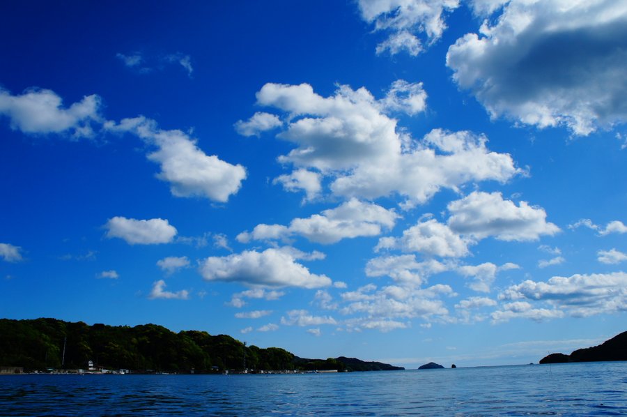 海