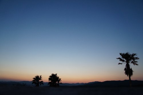 夕暮れ