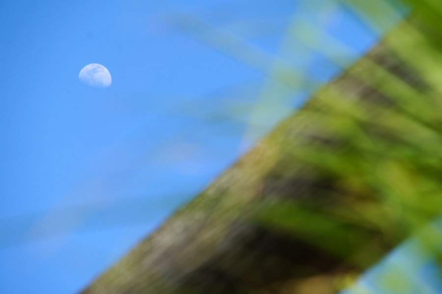 月空