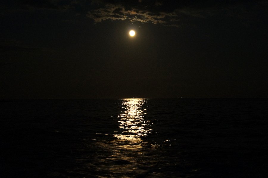 月夜