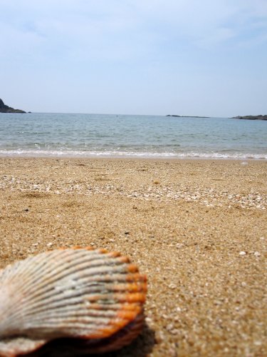 あづり浜