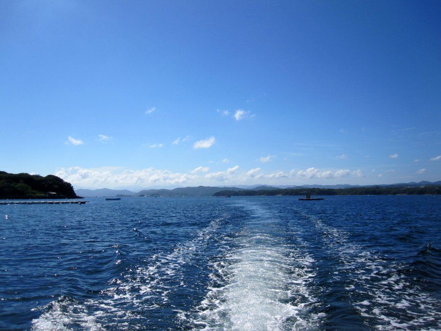 海