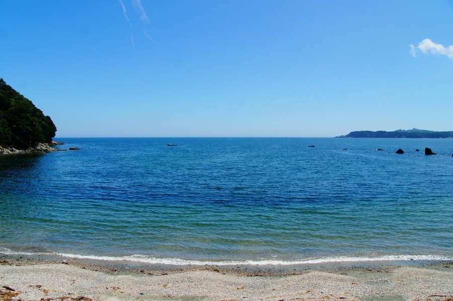 海