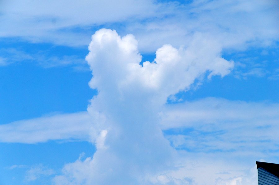 雲
