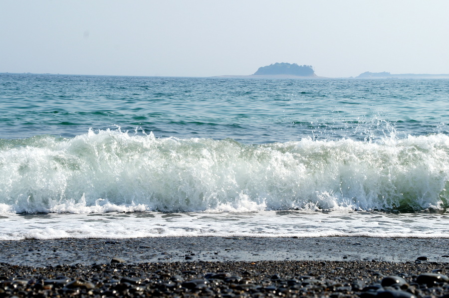 海