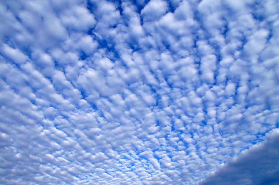 ひつじ雲
