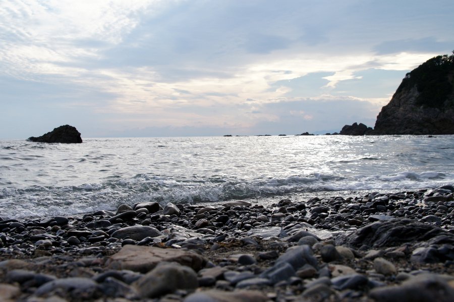 海岸