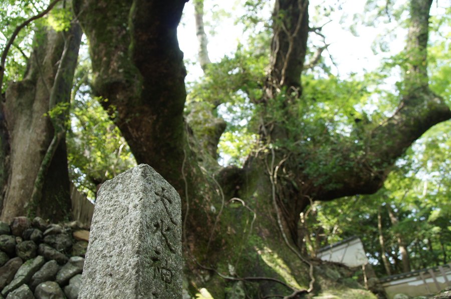 大水神社