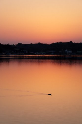 夕暮れ