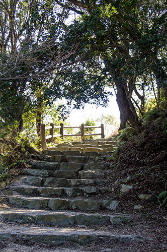 展望台