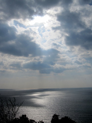 光と海