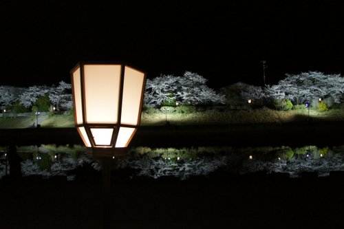 内宮 さくら