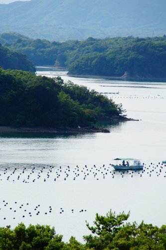 英虞湾