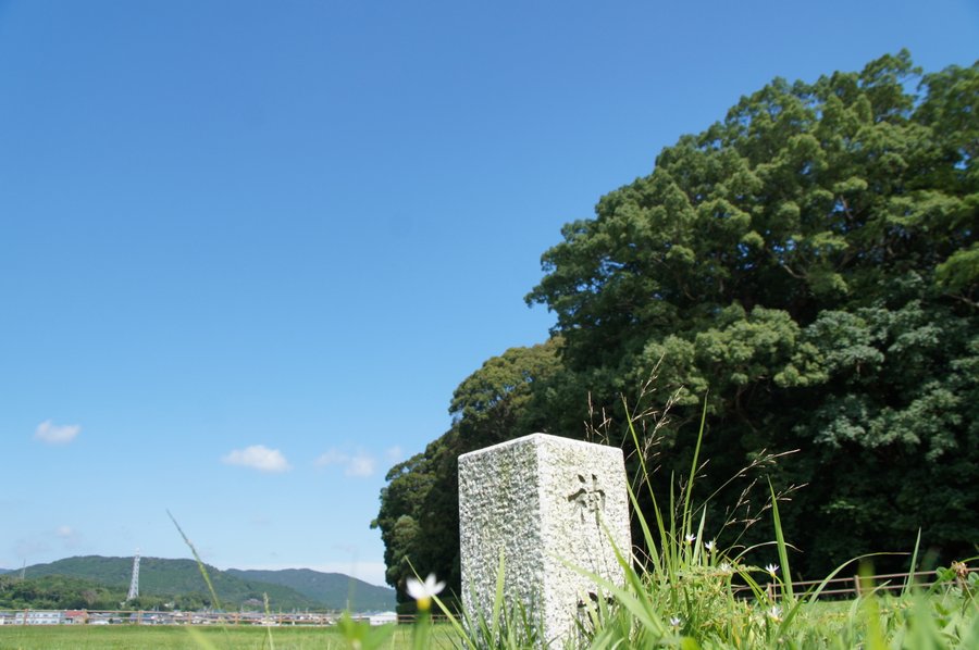 伊雜宮
