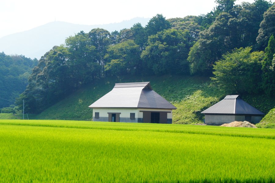 神宮神田