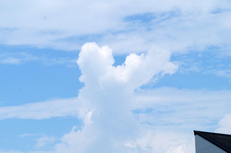 雲