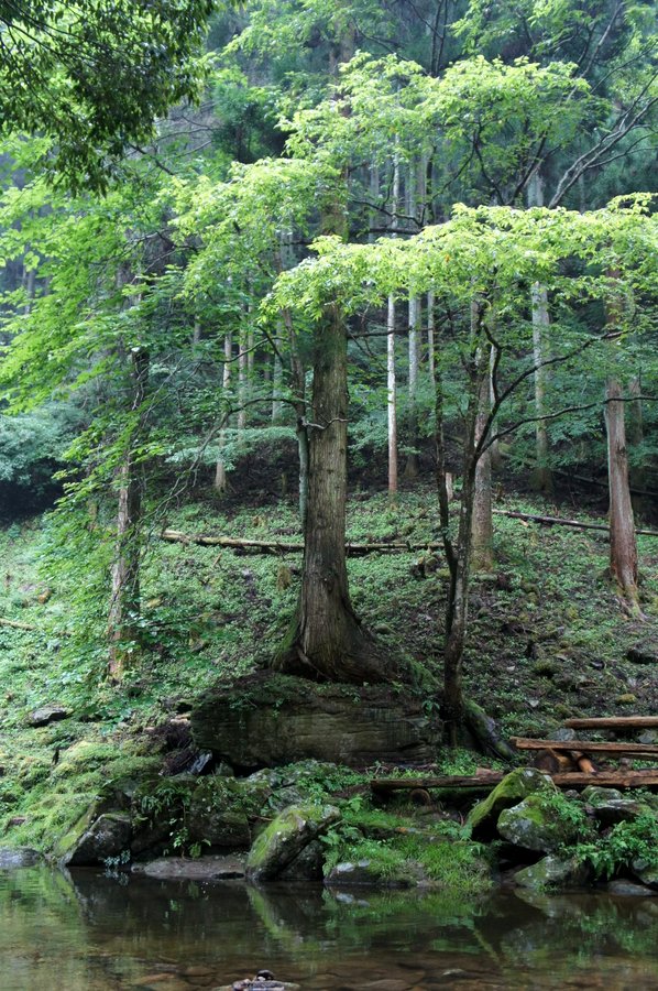 三重県