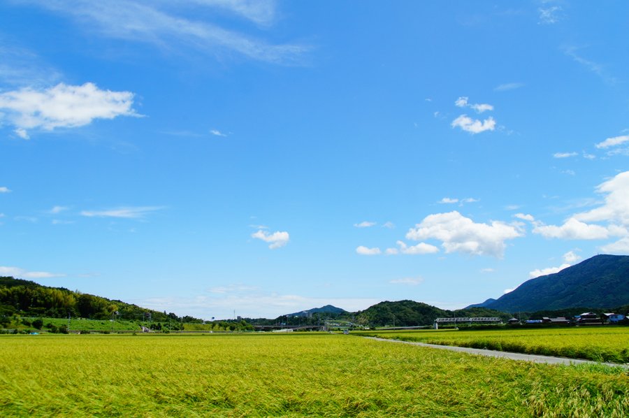 伊勢志摩