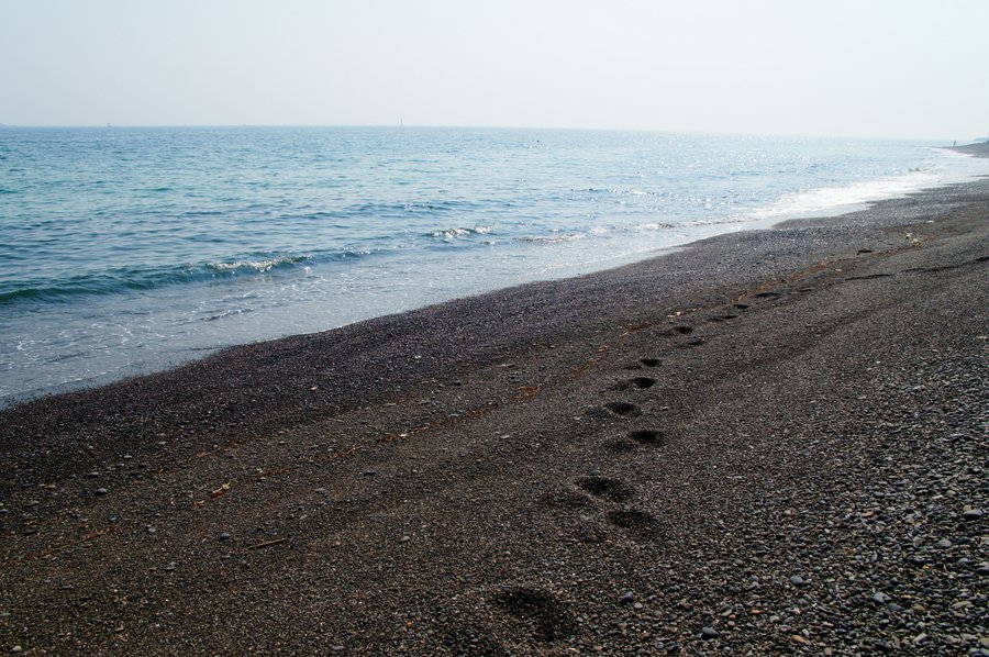 ひろの浜