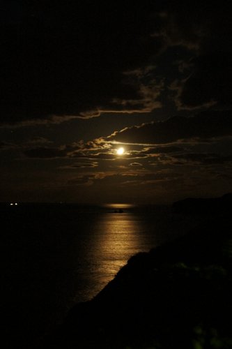 月夜