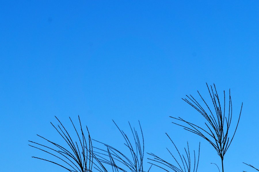 秋空